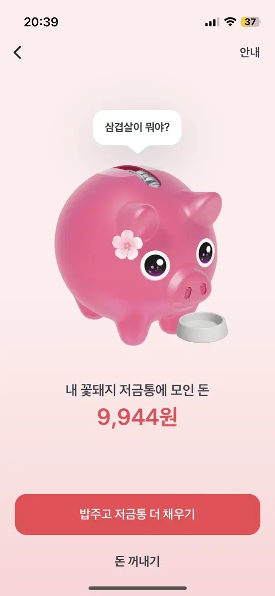 토스 꽃돼지